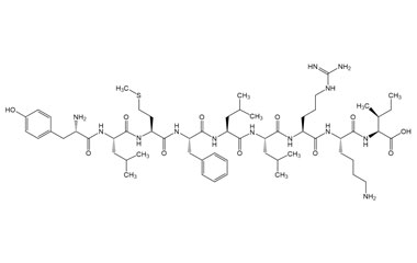 PA PEP 003033