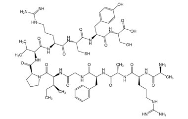 PA PEP 003036