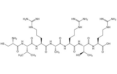 PA PEP 003055