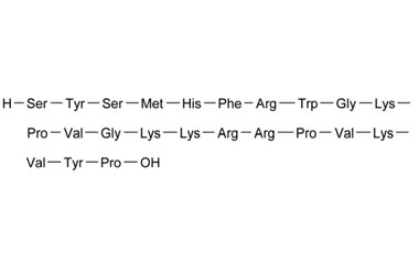 PA PEP 003066