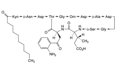 PA PEP 003088