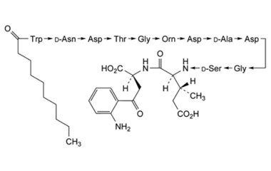PA PEP 003089