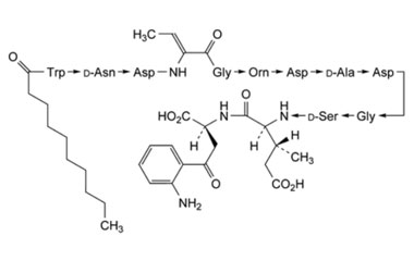 PA PEP 003090