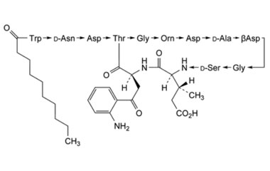 PA PEP 003093