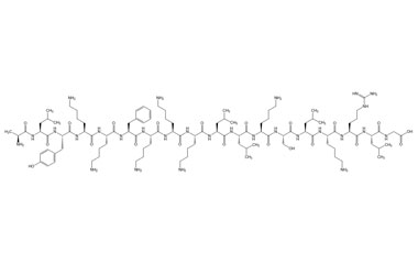 PA PEP 003134