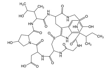 PA PEP 003153
