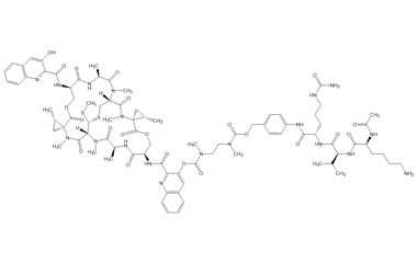 PA PEP 003156