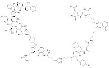 PA PEP 003173