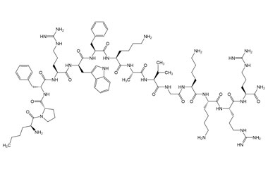 PA PEP 003200
