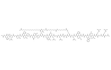 PA PEP 003203