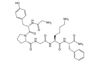 PA PEP 003212