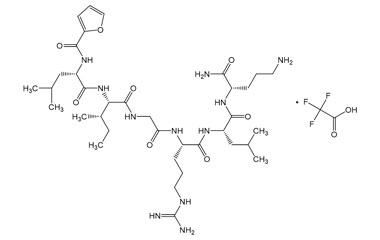 PA PEP 003219