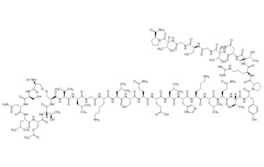 PA PEP 003220