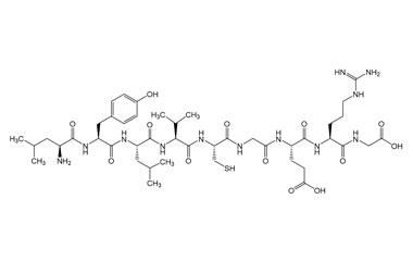 PA PEP 003221
