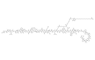 PA PEP 003240