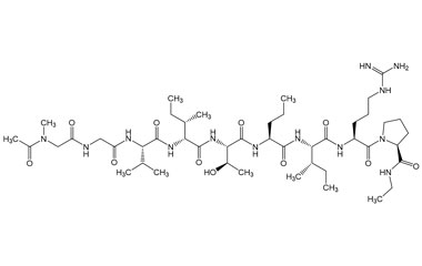 PA PEP 003243