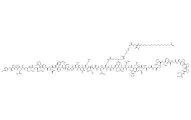 PA PEP 003244