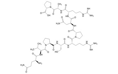 PA PEP 003245