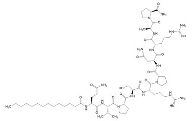 PA PEP 003246