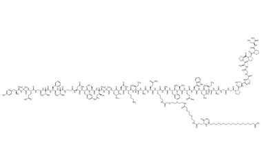 PA PEP 003248