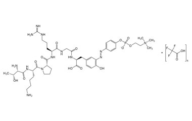 PA PEP 003249