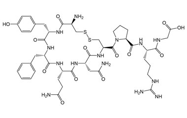 PA PEP 003251