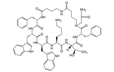 PA PEP 003255