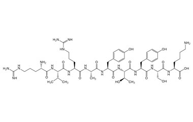 PA PEP 003260