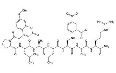 PA PEP 003268