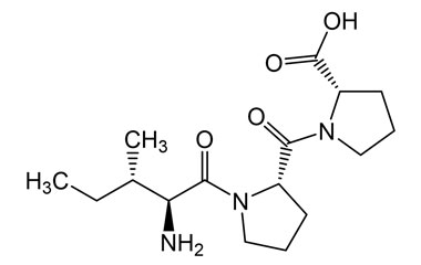 PA PEP 003294