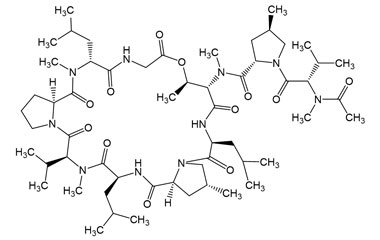 PA PEP 003295
