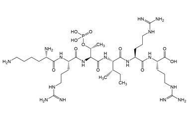 PA PEP 003298