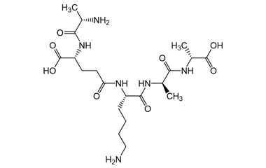 N2-(L-Alanyl)-N5-((S)-6-amino-1-(((R)-1-(((R)-1-ca PA PEP 003301