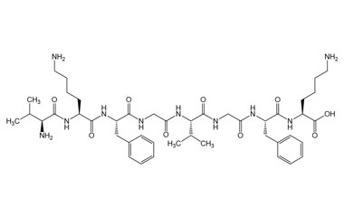 PA PEP 003304