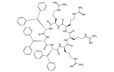 PA PEP 003305