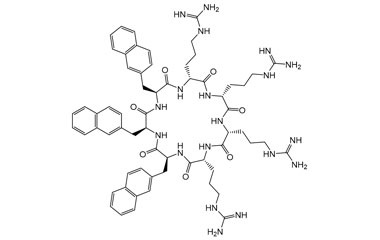 PA PEP 003306