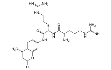 PA PEP 003307