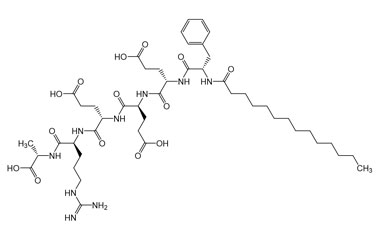 PA PEP 003324