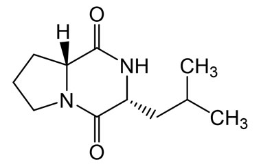 PA PEP 003335