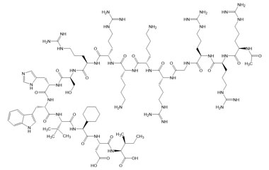 PA PEP 003340