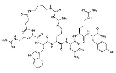 PA PEP 003342