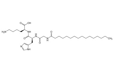 PA PEP 003343