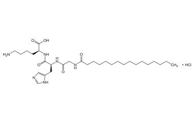 PA PEP 003344