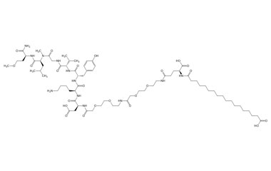 PA PEP 003355