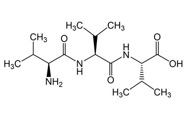 PA PEP 003365