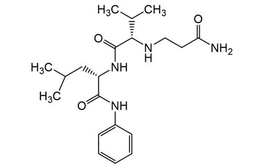 PA PEP 003369