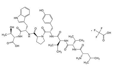 PA PEP 003381