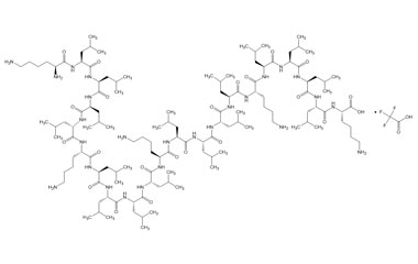 PA PEP 003383