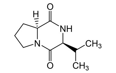 PA PEP 003396