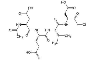 PA PEP 003399